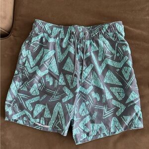 Hollister Gray and Teal Patterned Shorts